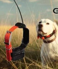 GARMIN HANDHELD GPS