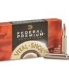 338 Winchester Magnum